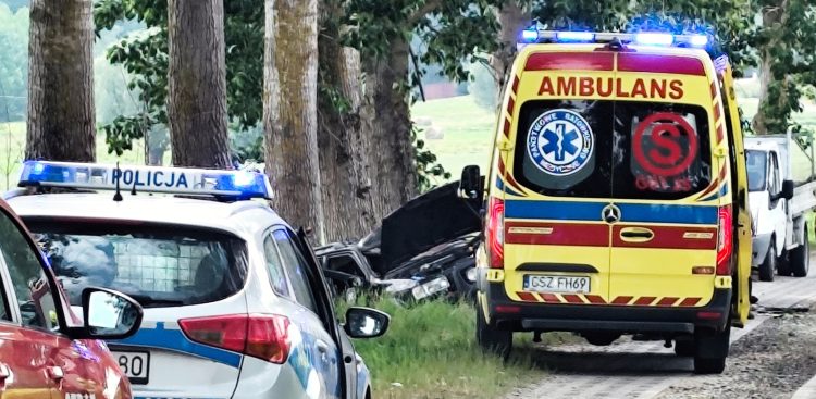 Śmiertelny wypadek w Sztumskiej Wsi - 23.06.2025 r. (fot. OSP Postolin)