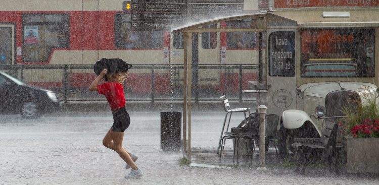 Zdjęcie ilustracyjne (fot. / Anna Rezulak / KFP)