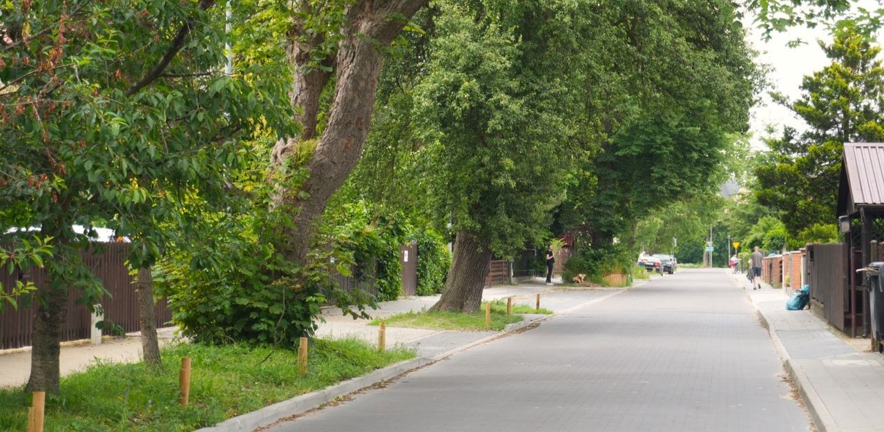 (fot. Drzewa w Mieście dla Klimatu)