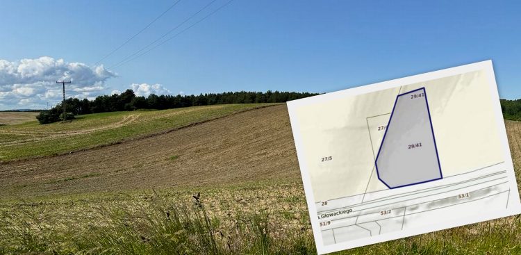 Działka w Tczewie, na której miał powstać obiekt sakralny Kościoła Zielonoświątkowego (fot. Radio Gdańsk/Filip Jędruch)