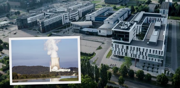 (fot. Uniwersytet Gdański/Pixabay)