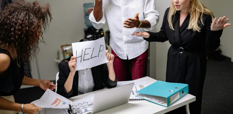 (fot. mat. sponsorowane)