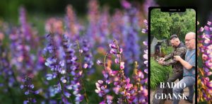 (fot. Radio Gdańsk/Włodzimierz Raszkiewicz)