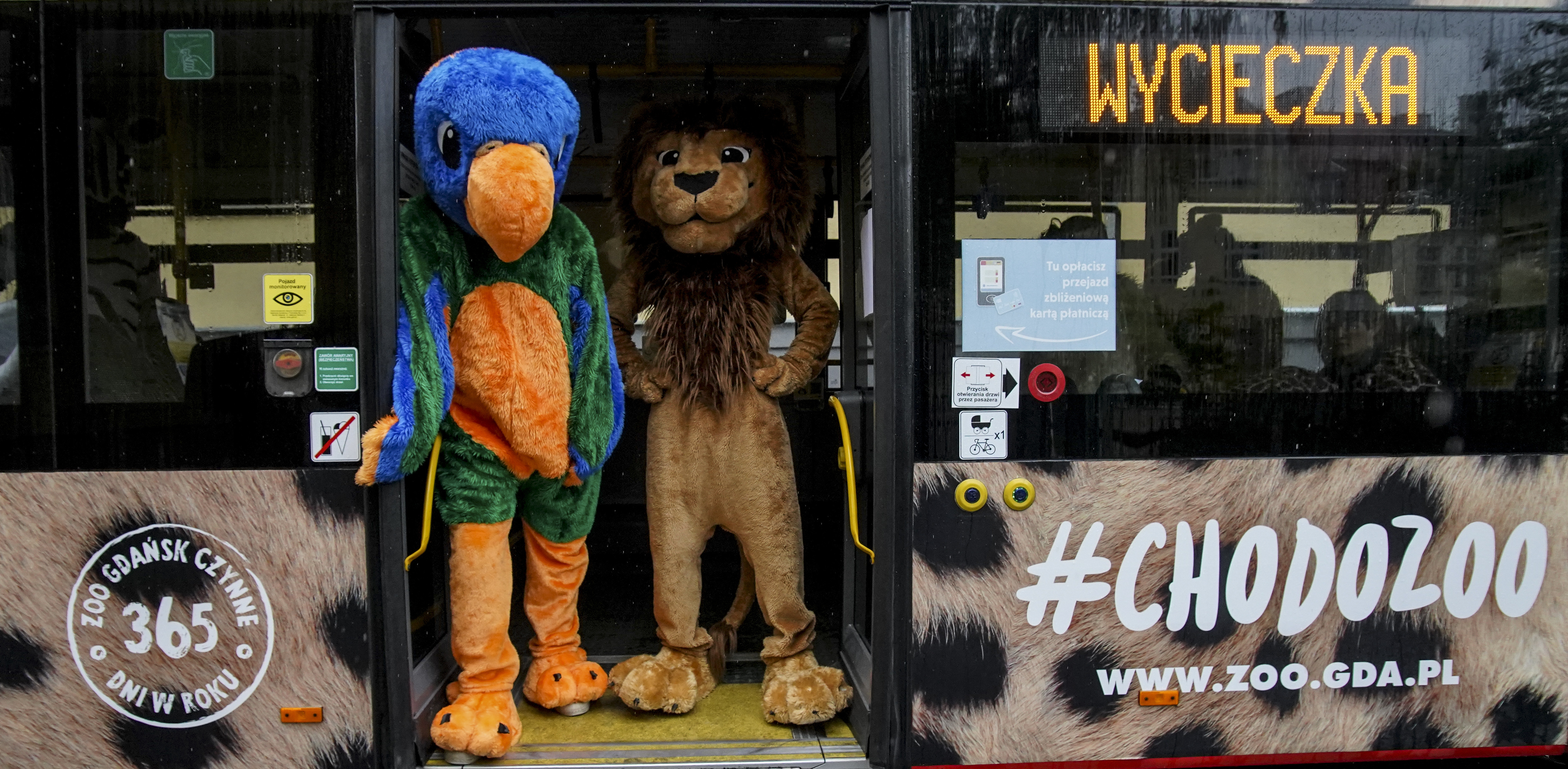 (fot. Paweł Marcinko / KFP)