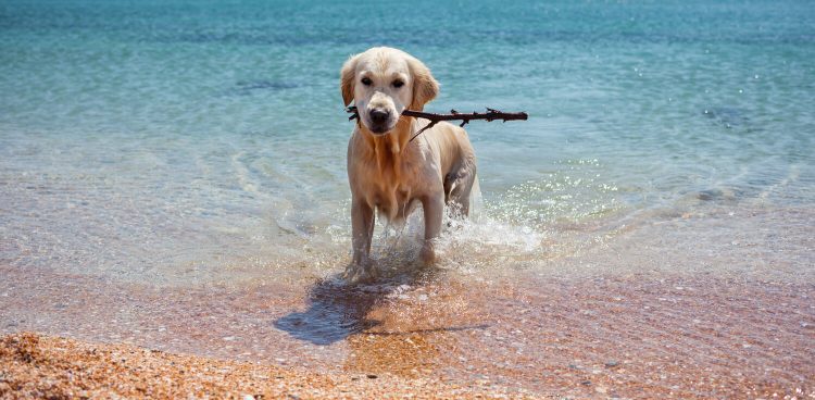 Zdjęcie ilustracyjne (Fot. Freepik)