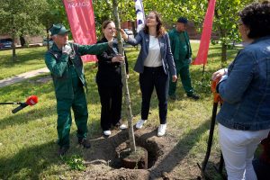 (fot. M.Pieslak/ gdansk.pl)