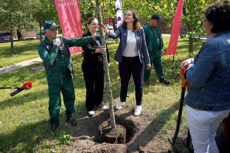 (fot. M.Pieslak/ gdansk.pl)