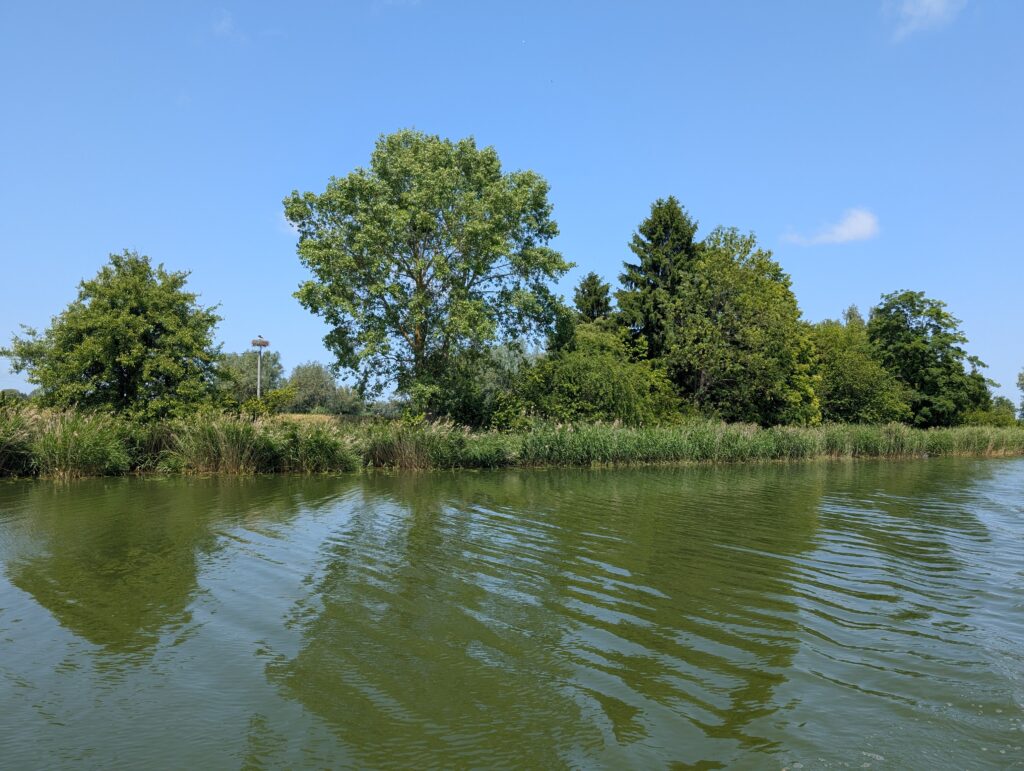 (fot. Radio Gdańsk/Tatiana Slowi)