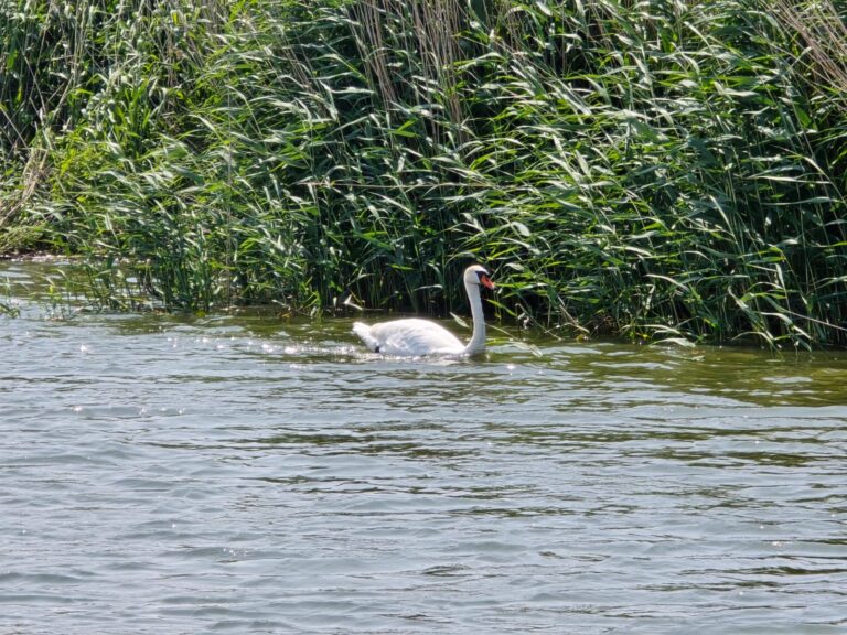 Gdańsk z Wodami Polskimi (fot. Radio Gdańsk/Tatiana Slowi)