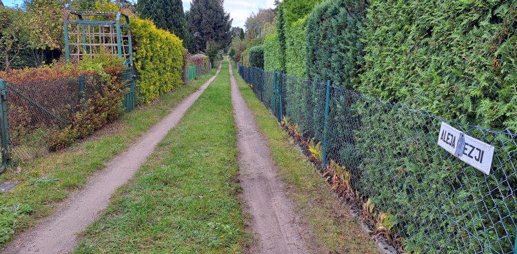 Zdjęcie ilustracyjne (Fot. Radio Gdańsk/Sebastian Kwiatkowski)