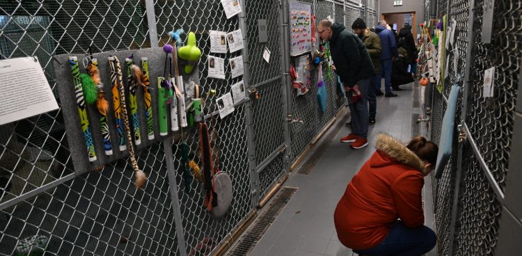 Jeden z wcześniejszych dni otwartych w "Sopotkowie" (fot. KFP/Wojciech Stróżyk)