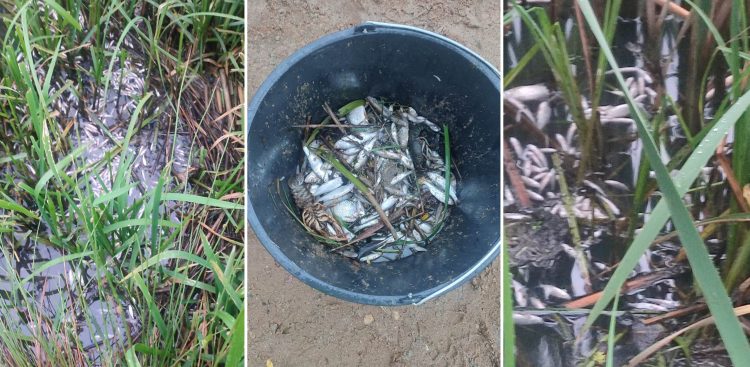 (fot. PSP Wejherowo)