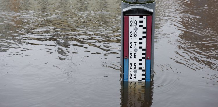 Zdjęcie ilustracyjne (Fot. Krzysztof Tomasik / KFP)