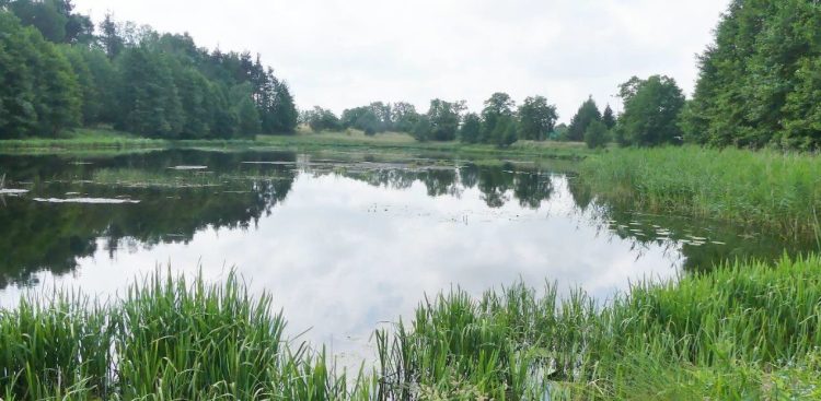 Projekt dotyczący zwiększenia poziomu odporności miasta zakłada między innymi przebudowę zbiornika Karolewo celem uzyskania funkcji zbiornika retencyjnego (fot. Facebook/Miasto Chojnice)