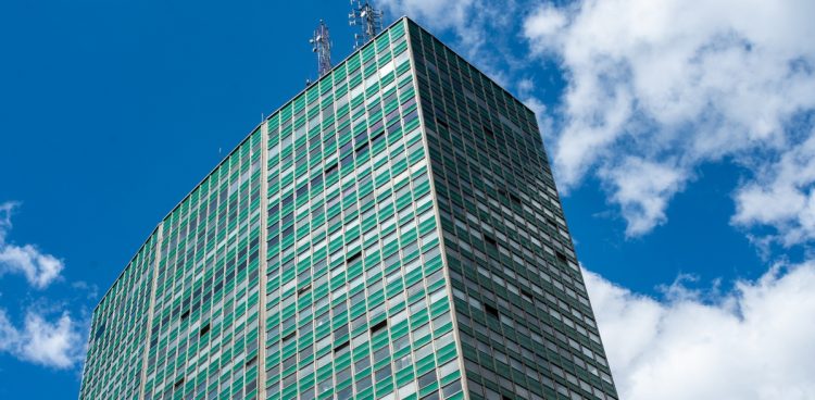 Zieleniak w Gdańsku (fot. KFP/Anna Rezulak)