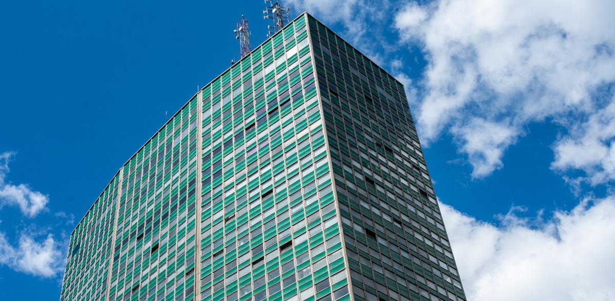 Zieleniak w Gdańsku (fot. KFP/Anna Rezulak)