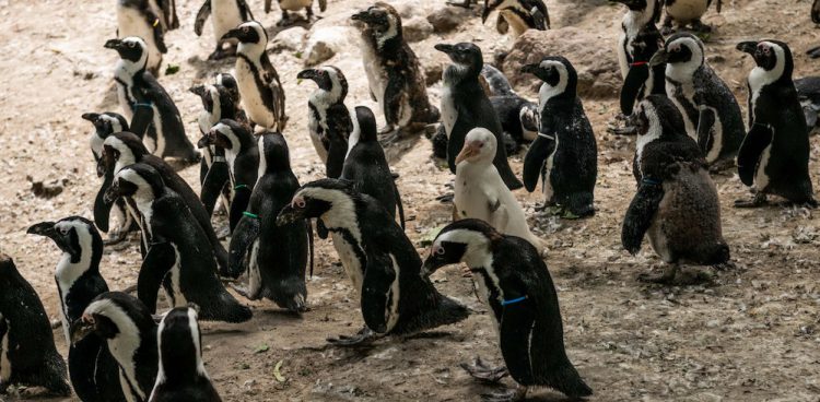 (fot. Dekpol Budownictwo)