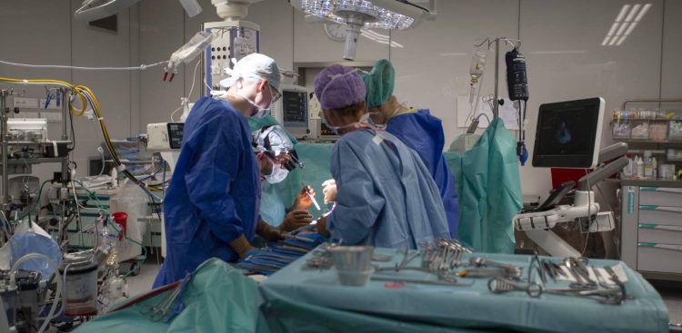 Dwusetny przeszczep płuc w UCK w Gdańsku (fot. Sylwia Mierzewska/UCK)