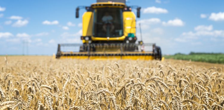 Zdjęcie ilustracyjne (fot. Freepik)