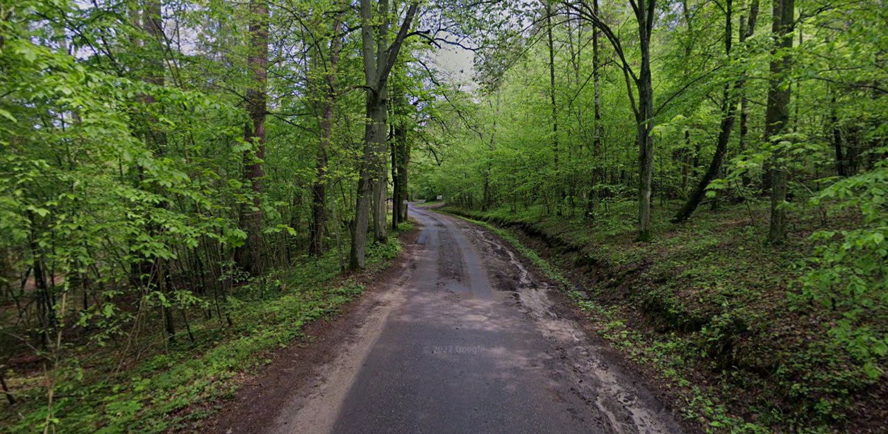 Babi Dół z Borowem łączy droga szutrowa, która aktualnie jest zamknięta (fot. Google Street View)