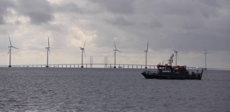 Zdjęcie ilustracyjne (fot. Pixabay)