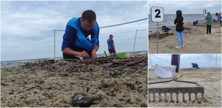 Mistrzostwa Świata w Poławianiu Bursztynu 2025 (fot. Radio Gdańsk/Mateusz Czerwiński)