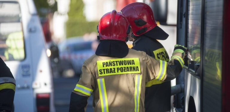 Straż pożarna. Dwóch strażaków przy wozie na ulicy
