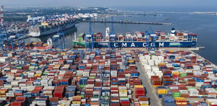 Baltic Hub (fot. Port Gdańsk)