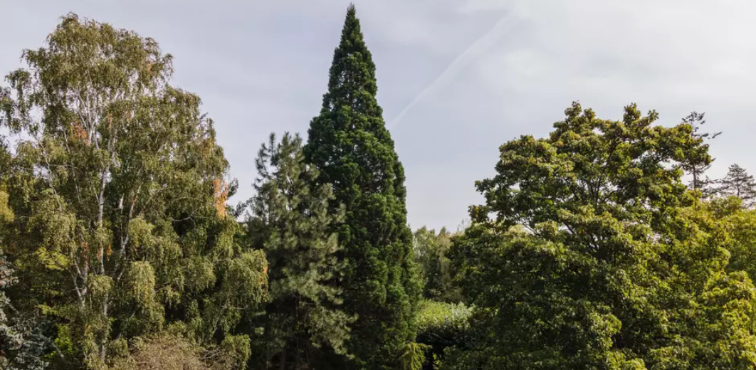 (fot. GZDiZ/Karol Stańczak)