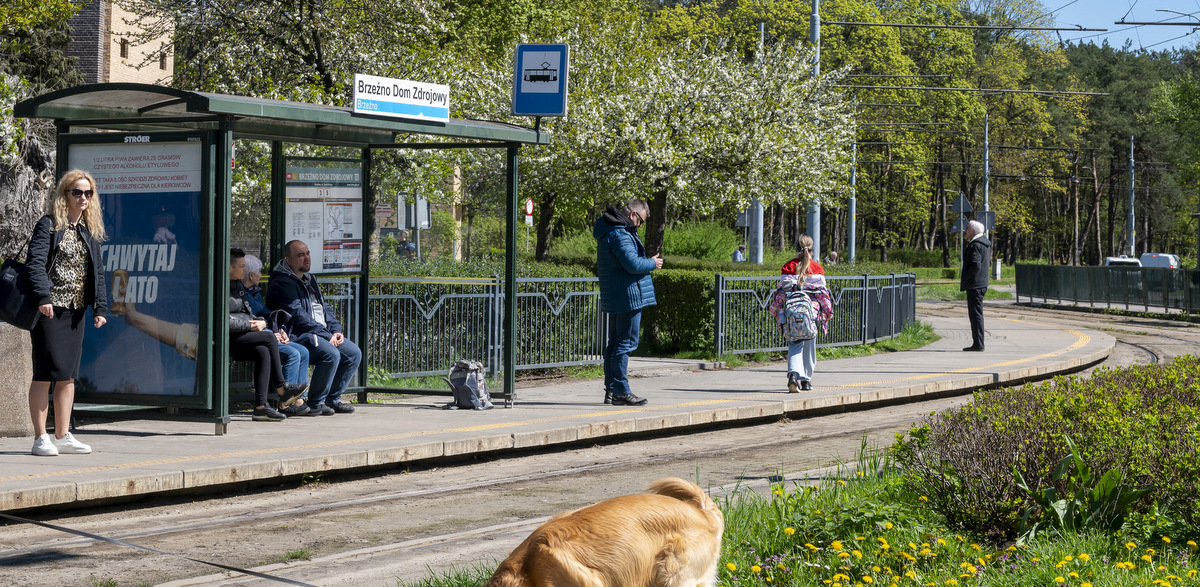 Przystanek tramwajowy Brzeźno Dom Zdrojowy (fot. KFP/Anna Bobrowska)