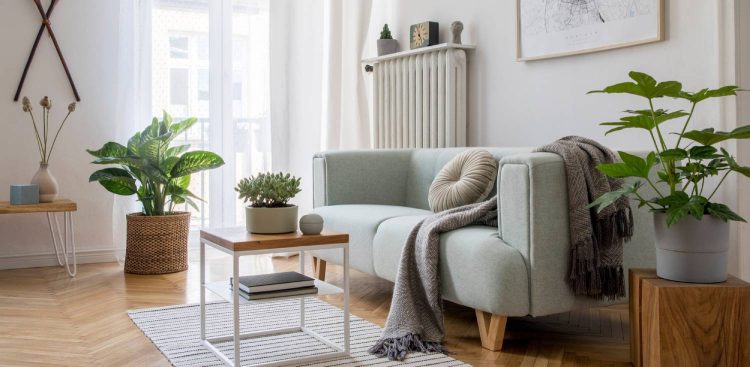 (fot. mat. sponsorowane)