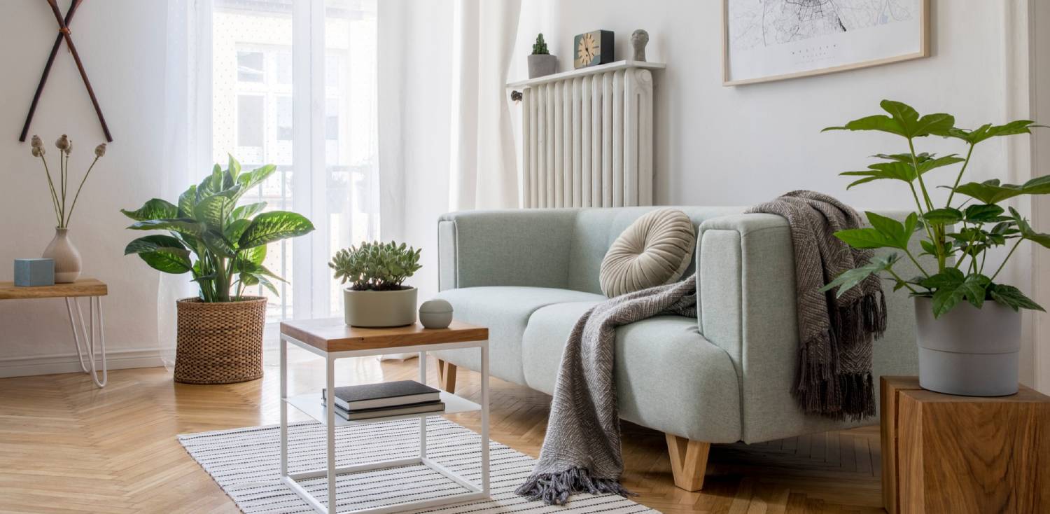 (fot. mat. sponsorowane)