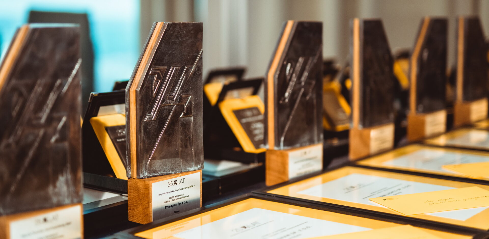 (fot. UMWP/Piotr Połoczański)