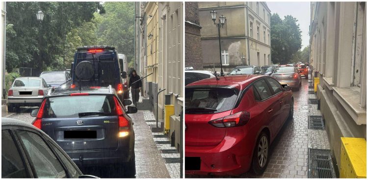 (fot. Stowarzyszenie Biskupia Górka)