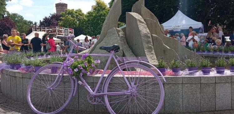 Lawendowy jarmark w Człuchowie, zdjęcie archiwalne (fot. UM Człuchów)