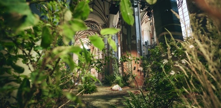 (fot. Nadbałtyckie Centrum Kultury)