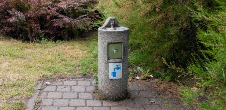 (fot. gdynia.pl/Paweł Kukla)