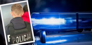 Policja z Kartuz zatrzymała przestępcę seksualnego, 10.07.2025 r. (fot. KPP w Kartuzach/pixabay.com)