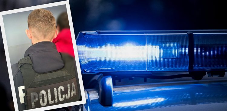 Policja z Kartuz zatrzymała przestępcę seksualnego, 10.07.2025 r. (fot. KPP w Kartuzach/pixabay.com)
