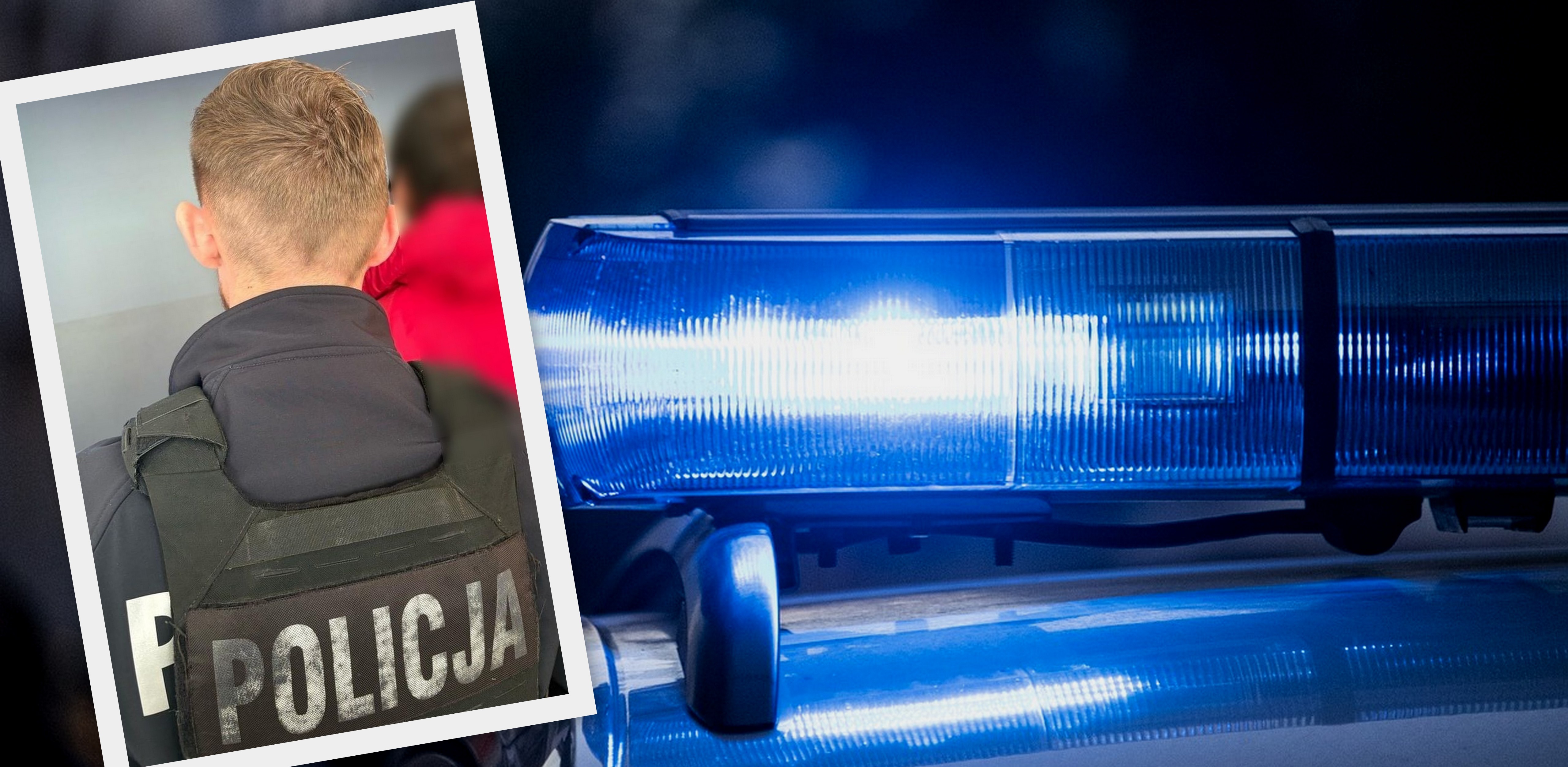 Policja z Kartuz zatrzymała przestępcę seksualnego, 10.07.2025 r. (fot. KPP w Kartuzach/pixabay.com)