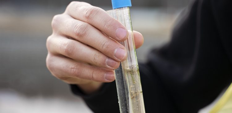 Zdjęcie ilustracyjne (fot. Freepik)