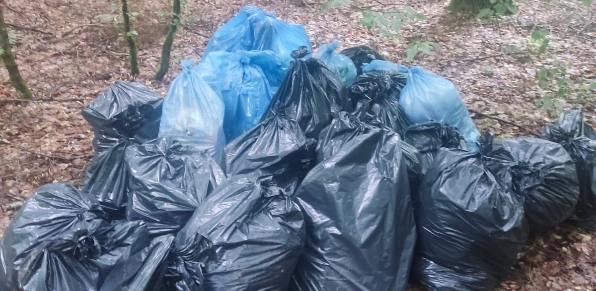 (fot. Damian Kąkol)