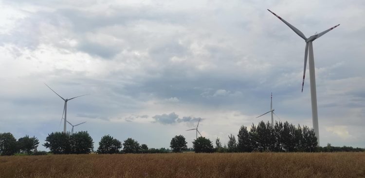 (fot. Radio Gdańsk/Mateusz Czerwiński)