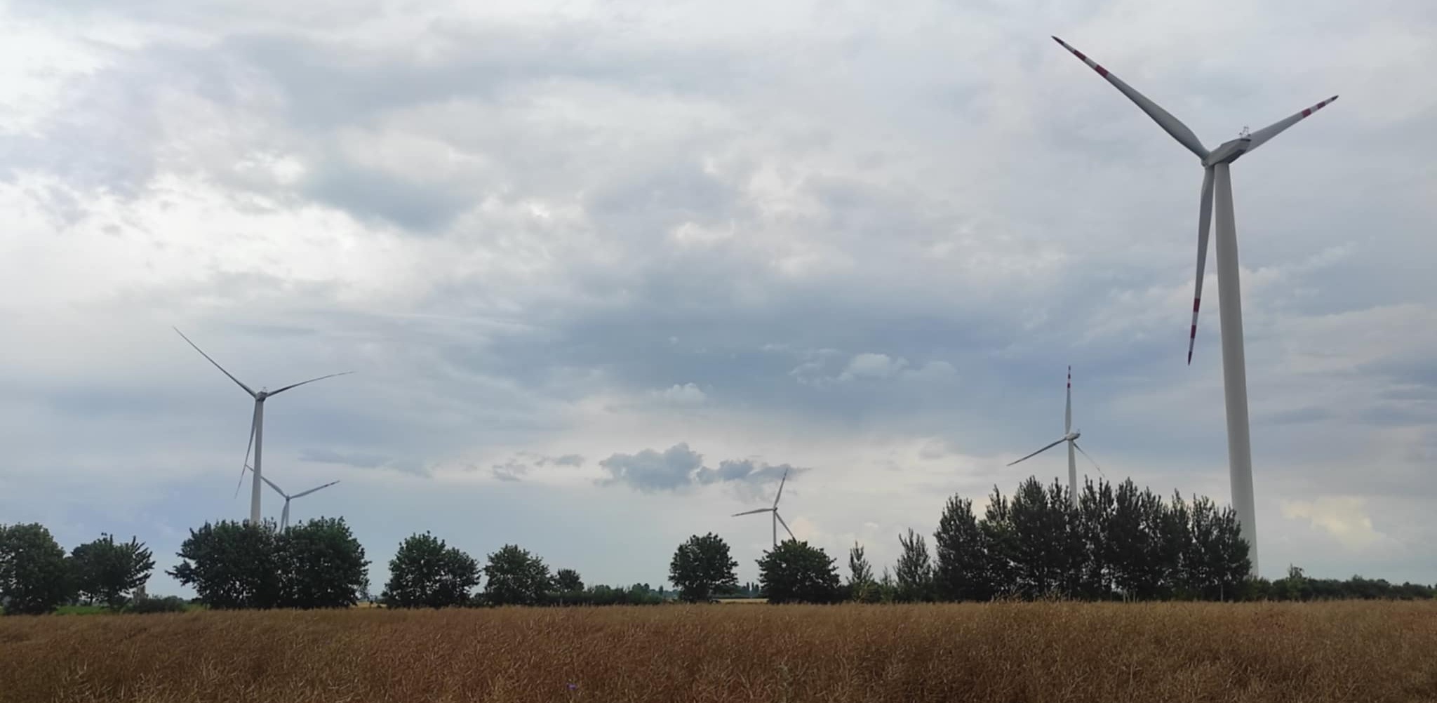 (fot. Radio Gdańsk/Mateusz Czerwiński)