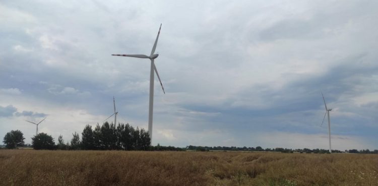 Wiatraki na Żuławach (fot. Radio Gdańsk/Mateusz Czerwiński)