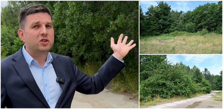 Wiceprezydent Gdyni Maciej Zielonka i tereny zielone na Oksywiu, o zachowanie których walczyli mieszkańcy (fot. gdynia.pl/Zofia Marczak)