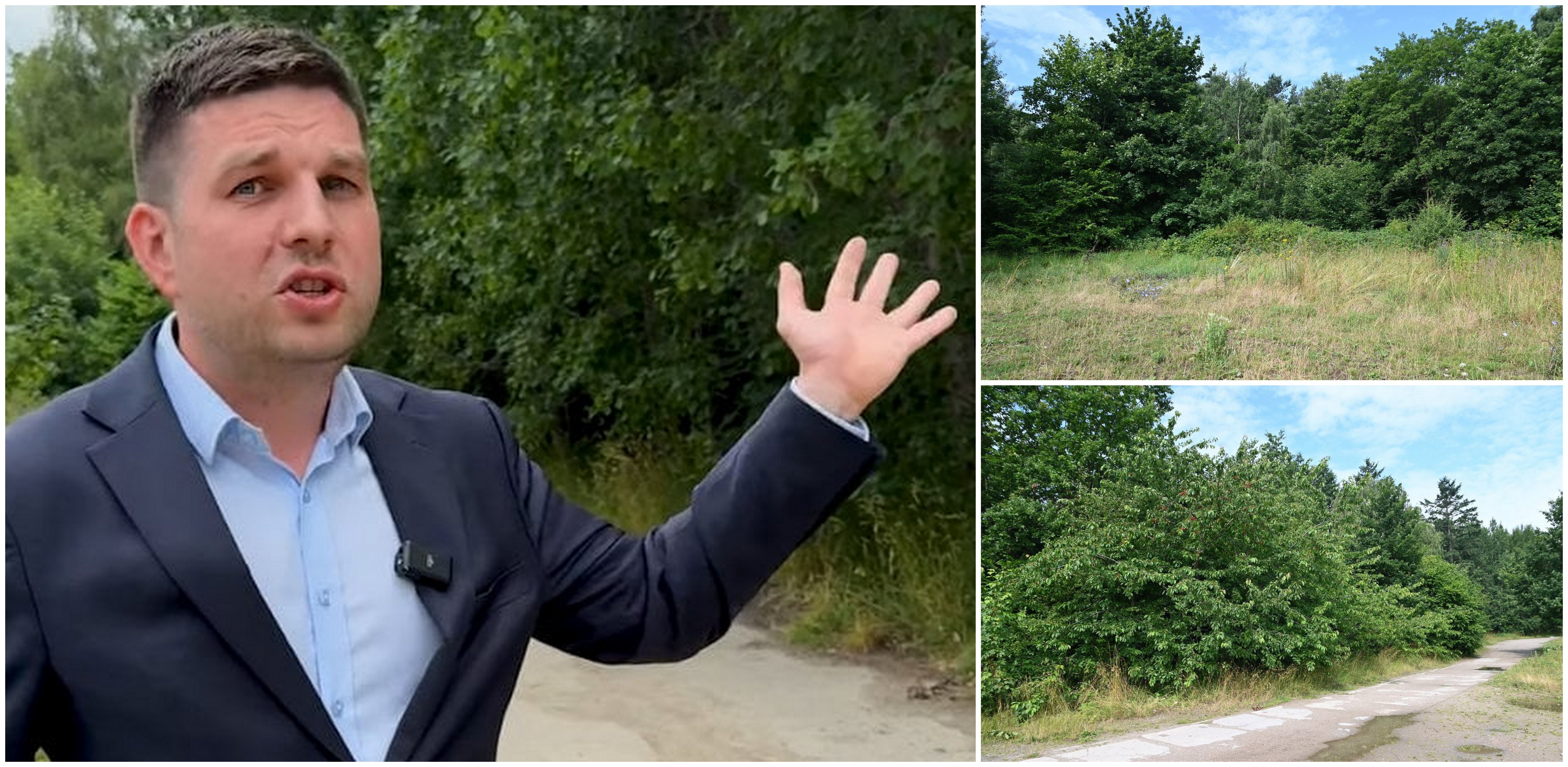 Wiceprezydent Gdyni Maciej Zielonka i tereny zielone na Oksywiu, o zachowanie których walczyli mieszkańcy (fot. gdynia.pl/Zofia Marczak)