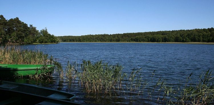 Jezioro Ostrowite (fot. Wikimedia Commons)