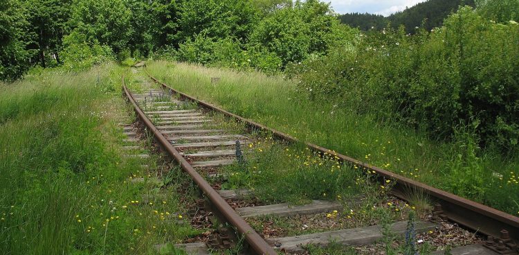 Linia kolejowa 229 (fot. Wikimedia Commons)