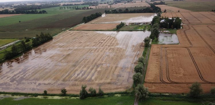 Żuławy zalane przez wodę podczas lipcowych ulew (fot. słuchacz RG)